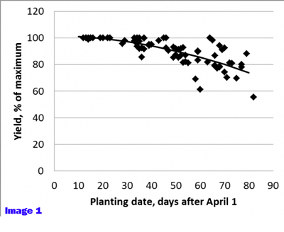 Early Planting Considerations for Soybeans